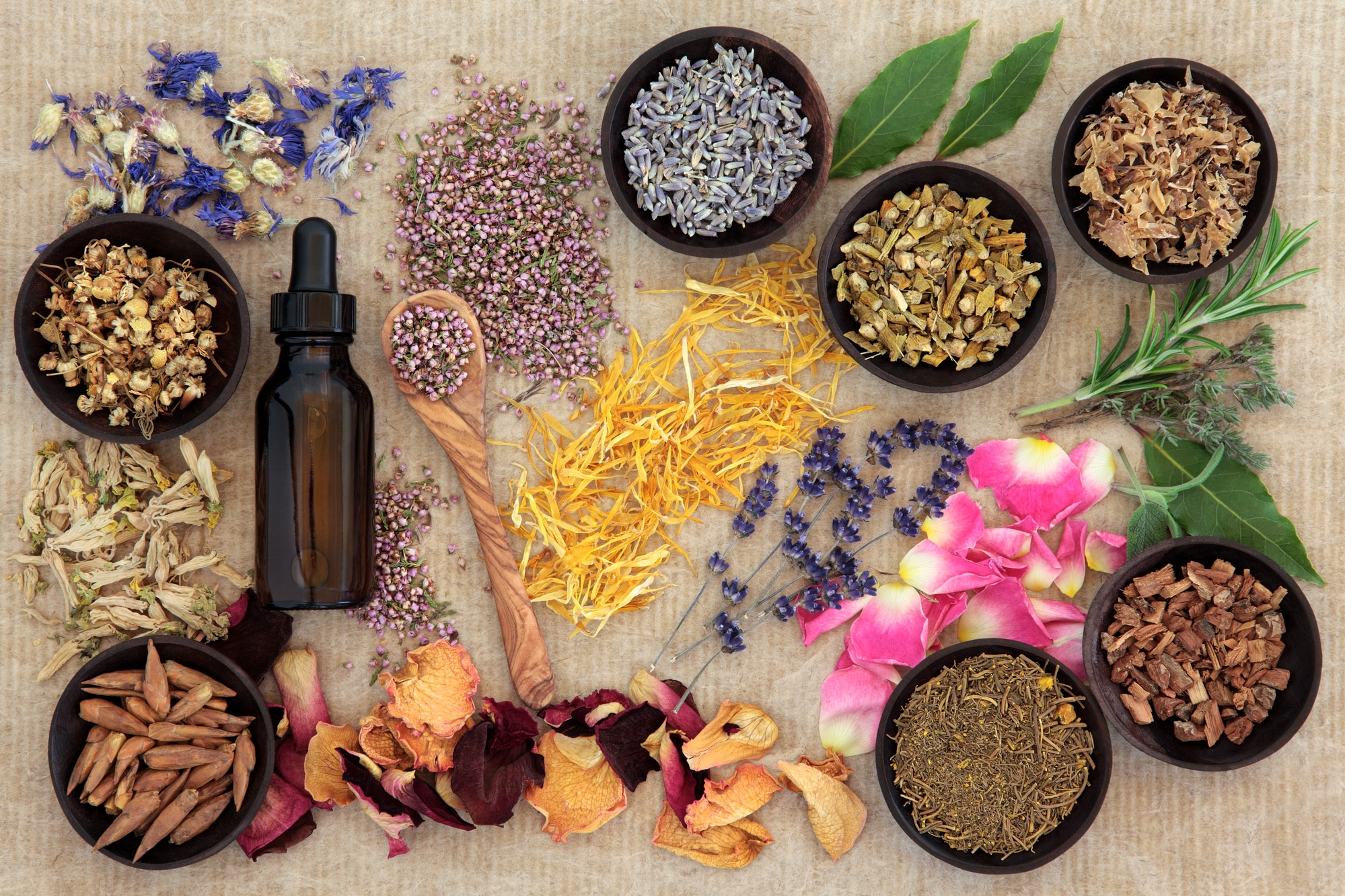 What is Naturopathy